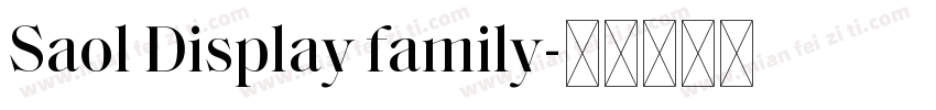 Saol Display family字体转换